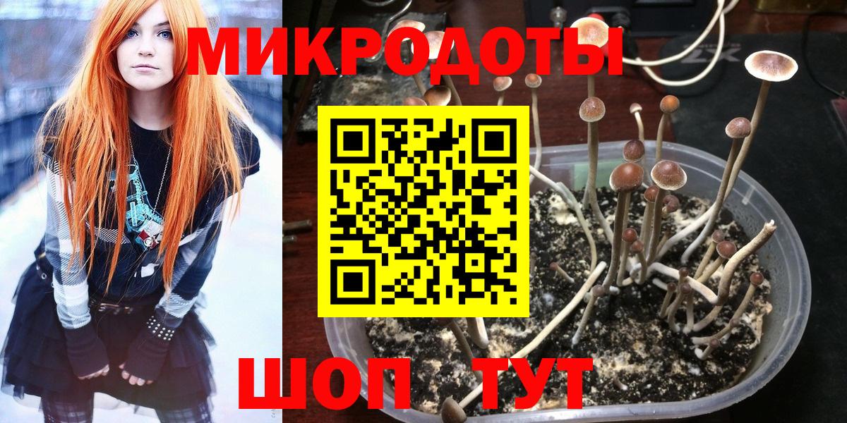 Псилоцибиновые грибы мухоморы  Вход с VPN  где купить наркоту  Нарткала  Галлюциногенные грибы GOLDEN TEACHER 