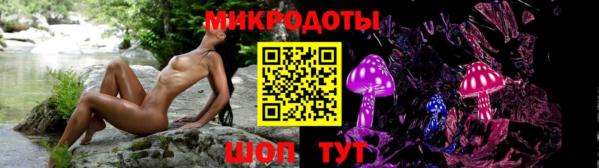 Галлюциногенные грибы Psilocybine cubensis Нарткала